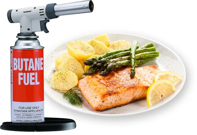 Iwatani CB-TC-PRO2 Culinary Torch - Professional (PRO 2)