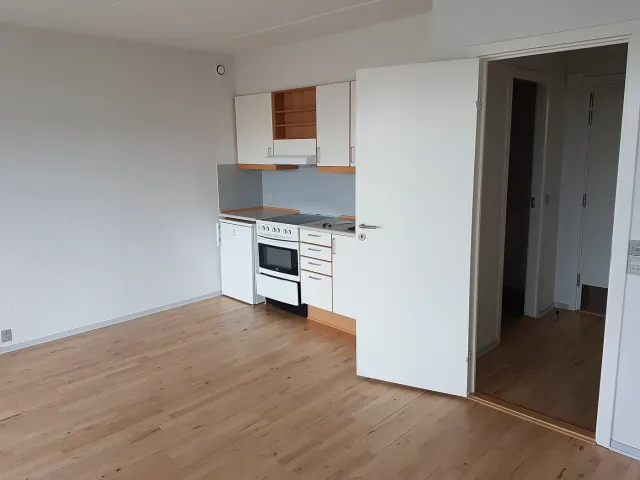 One-wall kitchen